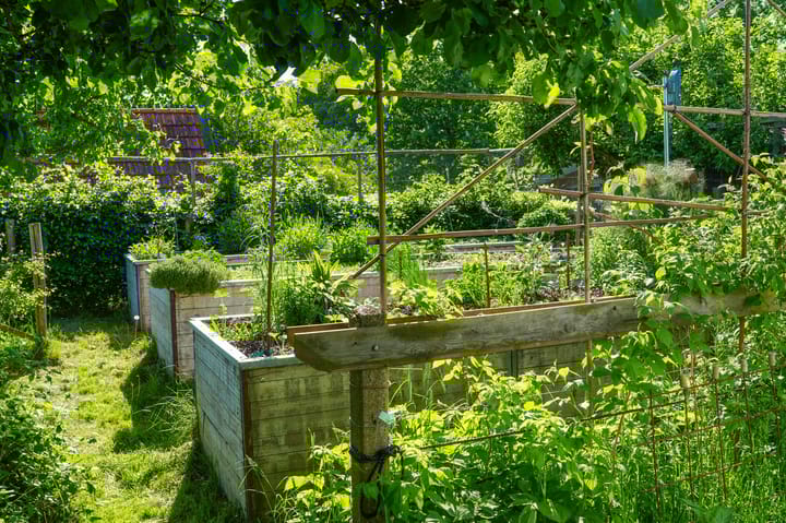 Foto 79 van Boterveen 13