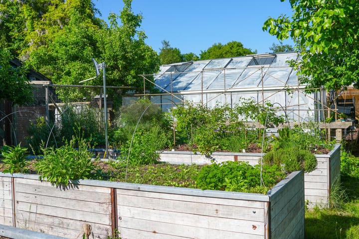 Foto 80 van Boterveen 13