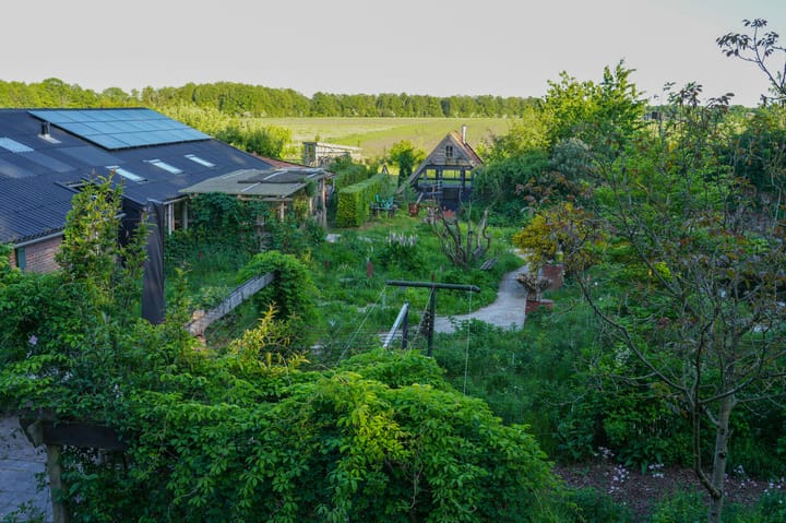 Foto 81 van Boterveen 13