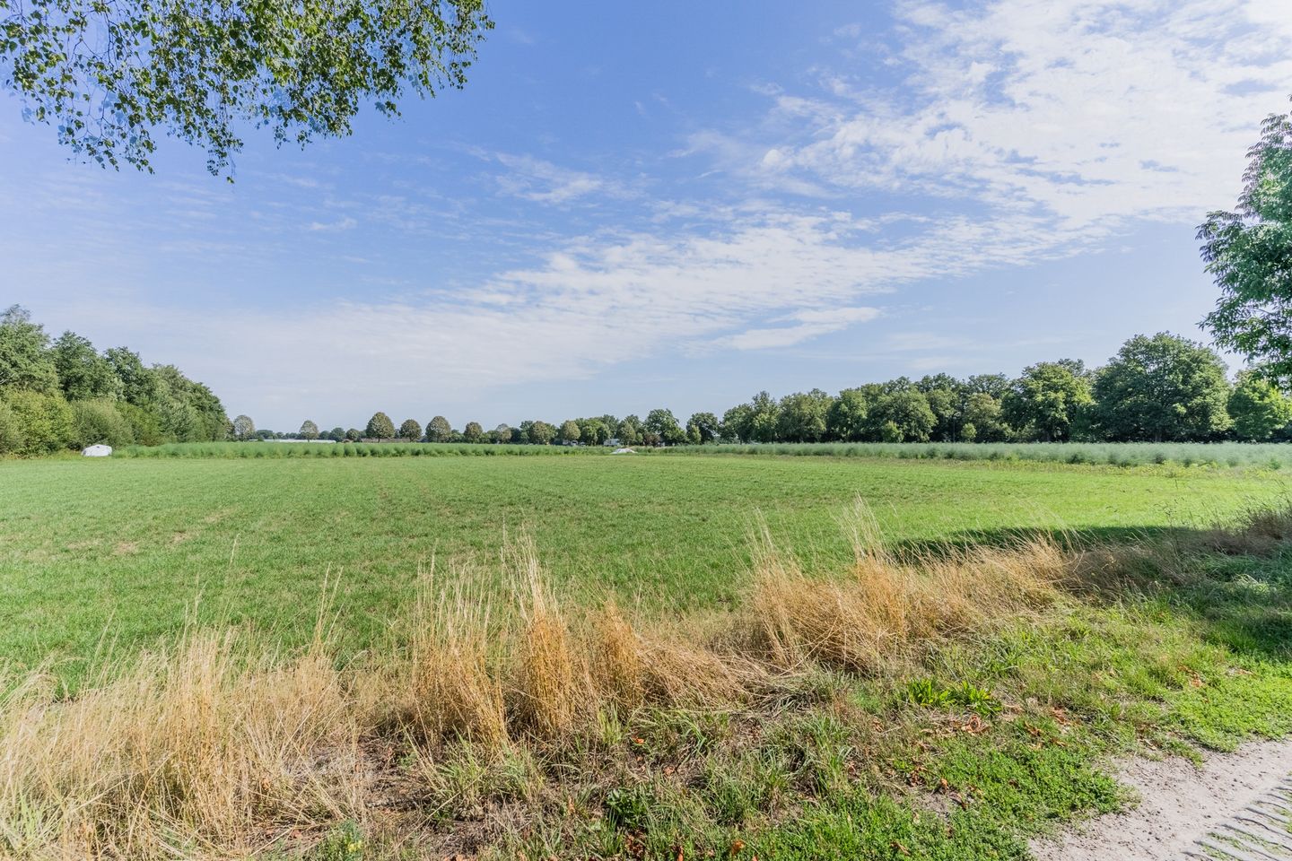 Photo 59 of Boschdijk 18