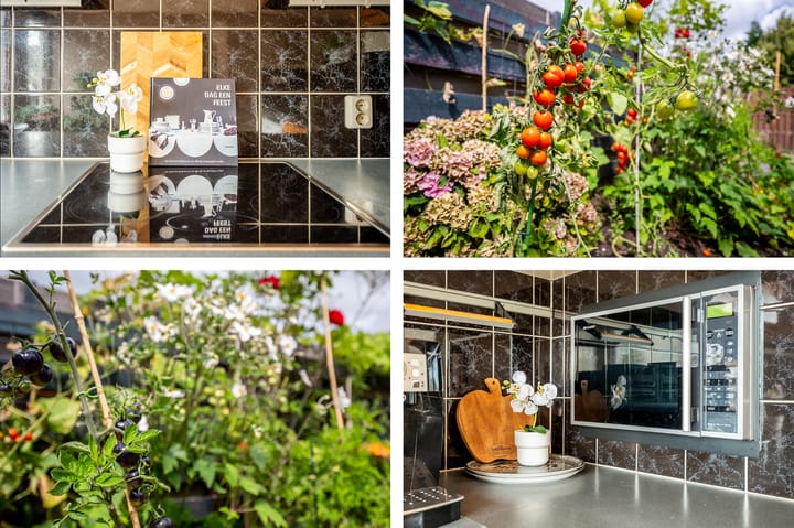 Foto 22 van Koggenland 30