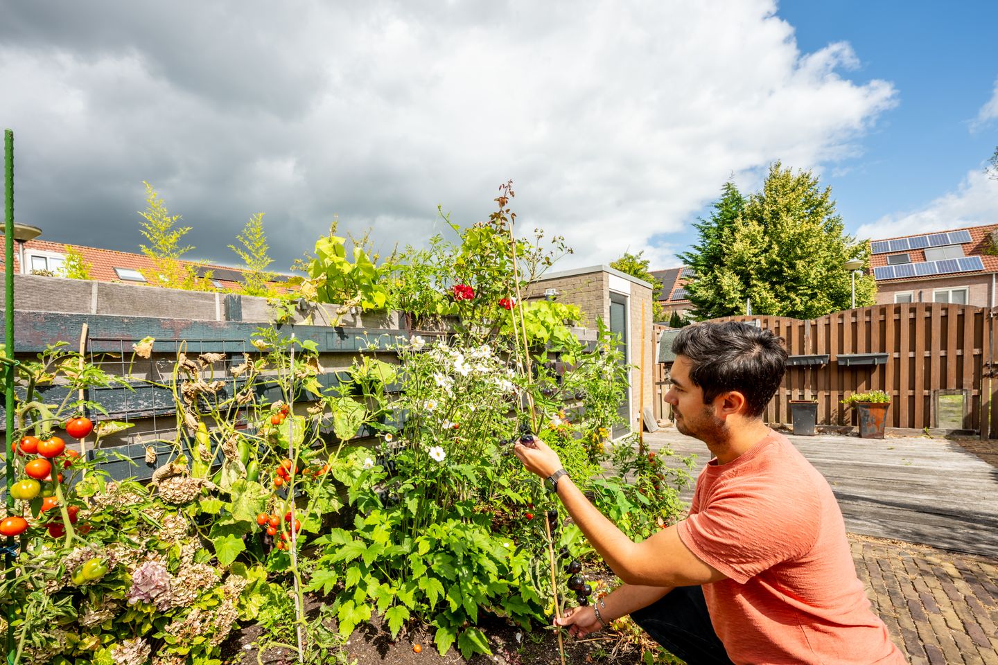 Foto 35 van Koggenland 30