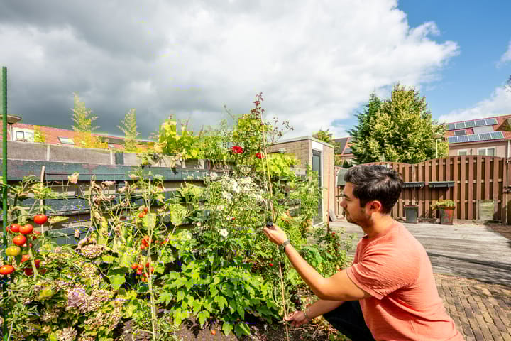 Foto 35 van Koggenland 30