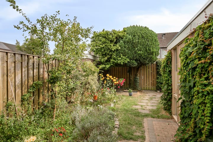 Foto 34 van Doddendaal 3