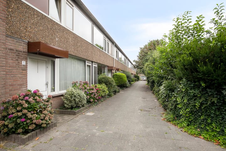 Foto 38 van Doddendaal 3