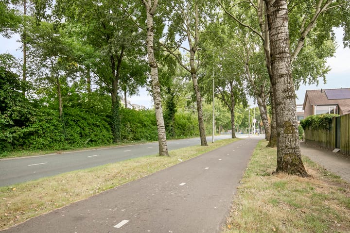 Foto 41 van Doddendaal 3