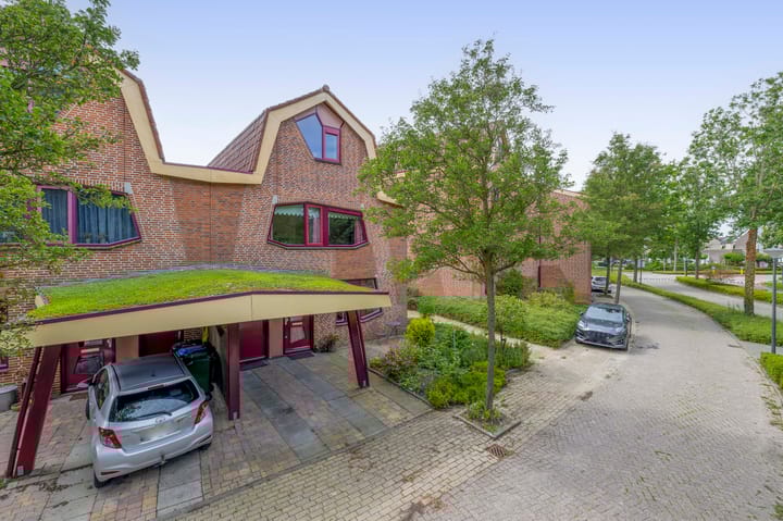 Foto 2 van Blauwe Reiger 10