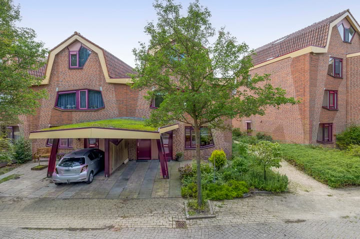 Photo 5 of Blauwe Reiger 10