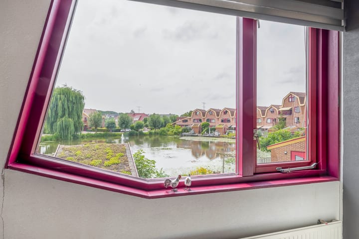 Photo 38 of Blauwe Reiger 10