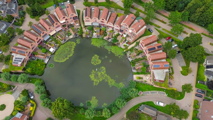 Photo 49 of Blauwe Reiger 10