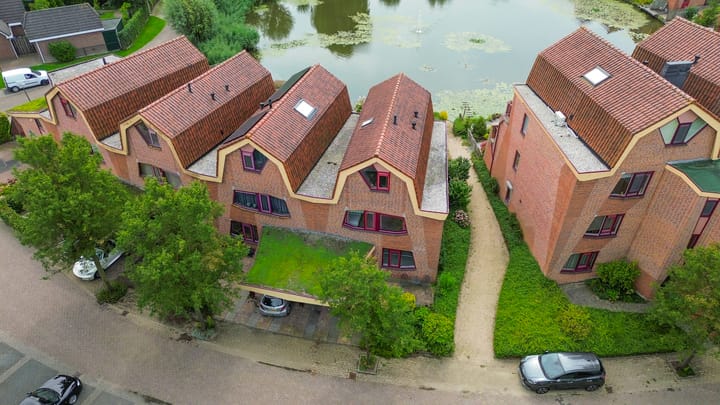 Photo 50 of Blauwe Reiger 10