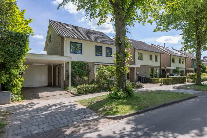 Foto 6 van Dr. Zamenhoflaan 218