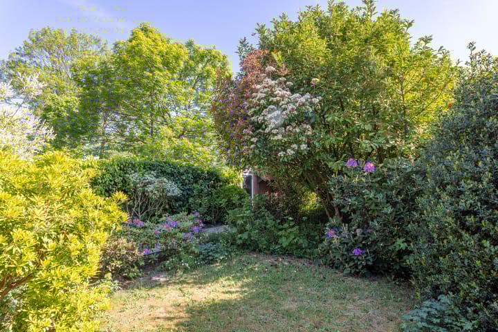 Foto 53 van Dr. Zamenhoflaan 218