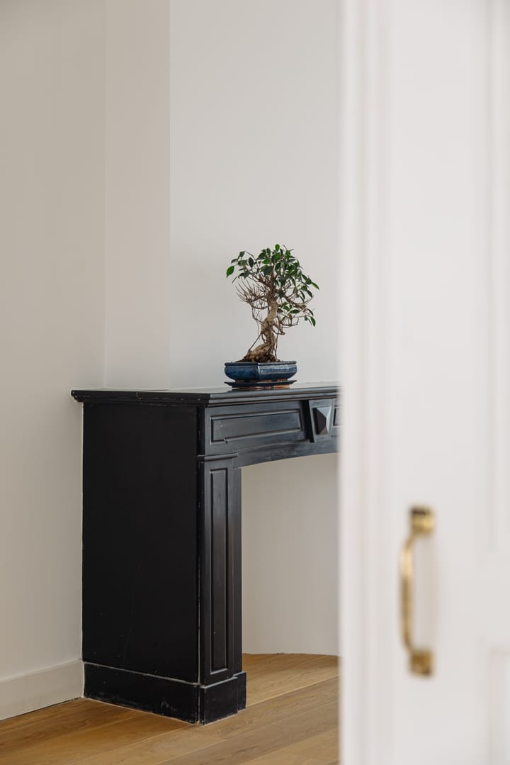 Foto 31 van Groot Hertoginnelaan 101