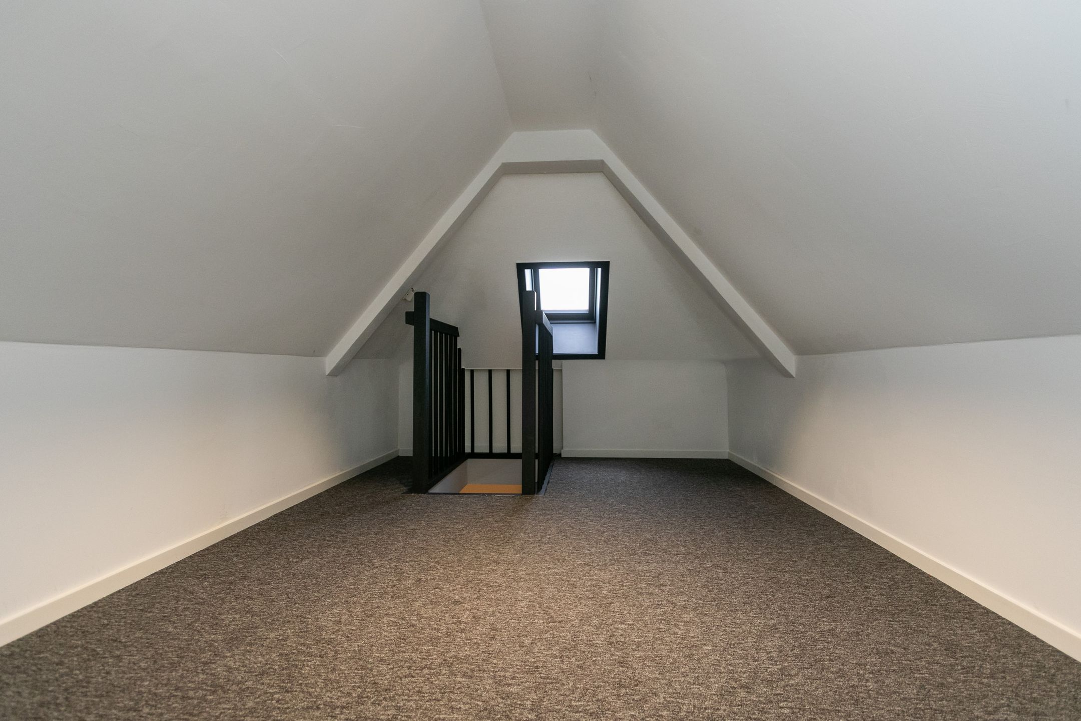 Foto 48 van Klavertje 1