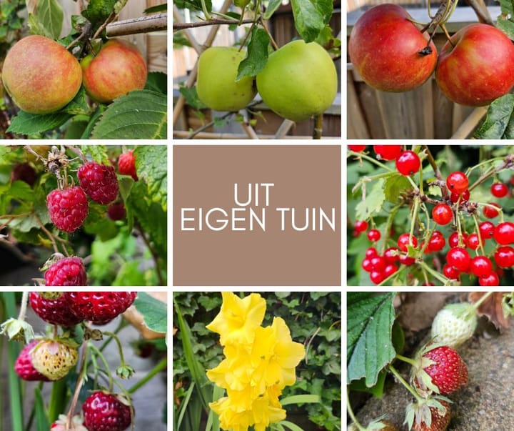 Foto 27 van Jellissenkamp 90