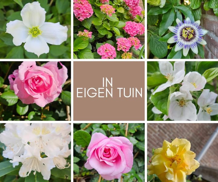 Foto 28 van Jellissenkamp 90