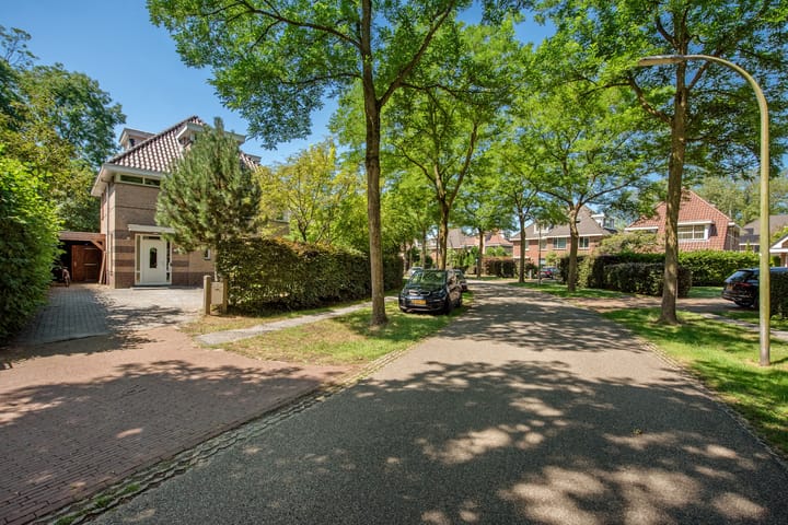 Foto 31 van Guirlande 37