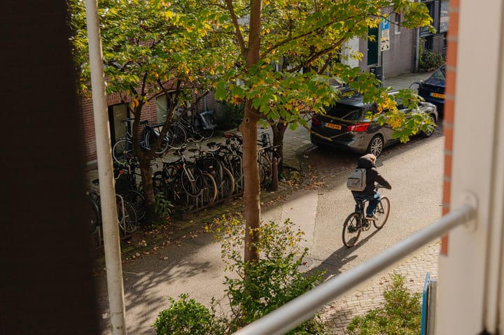 Foto 6 van Swammerdamstraat 12-C