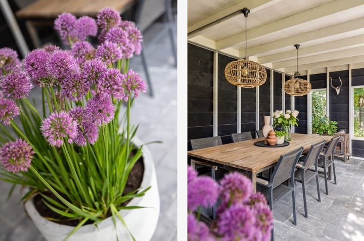 Foto 35 van Koemeerskuil 20