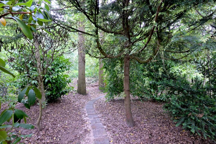 Foto 49 van Vegerinkskamp 38-A