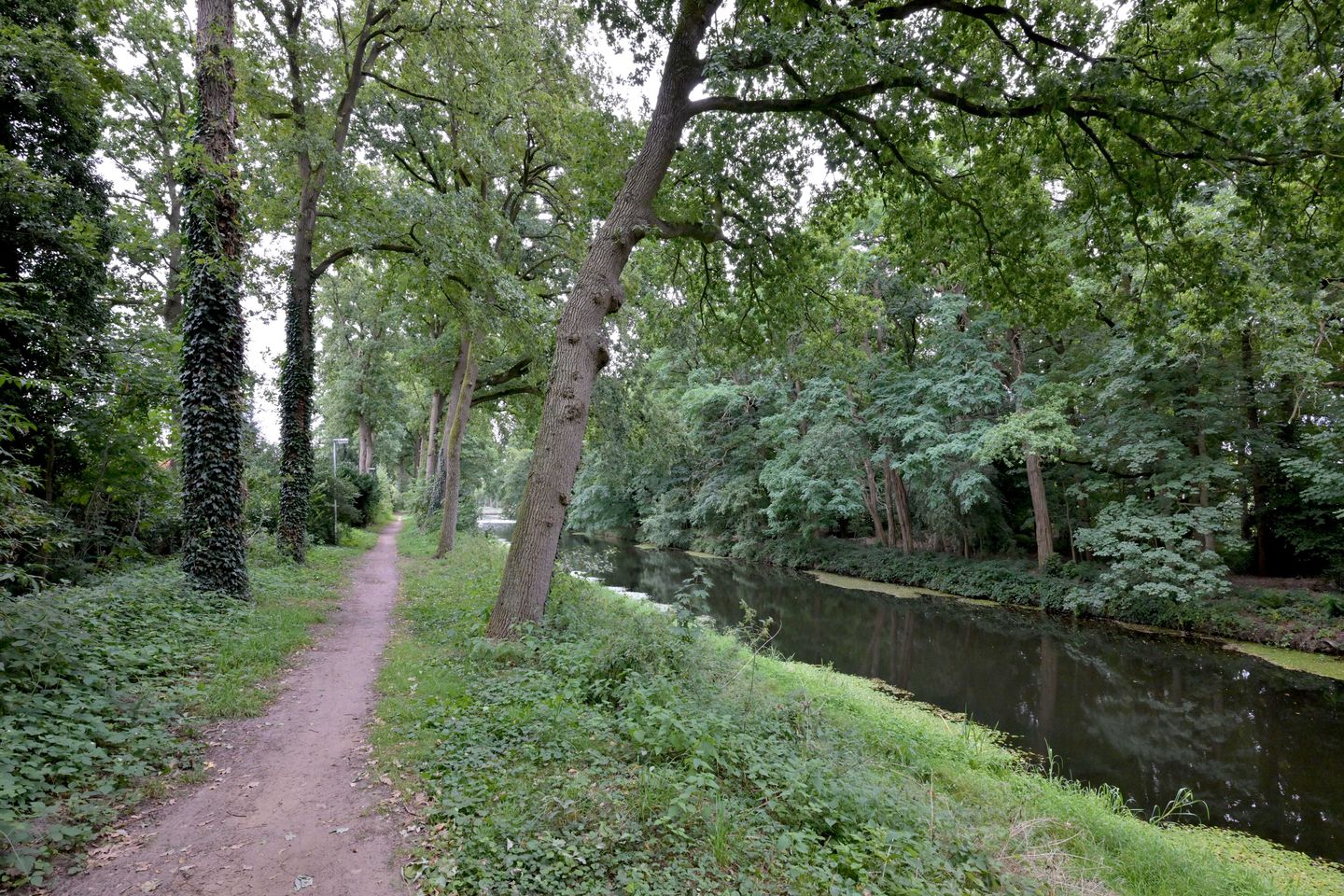 Foto 50 van Vegerinkskamp 38-A