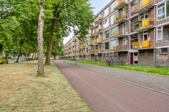 Foto 6 van Moezeldreef 217