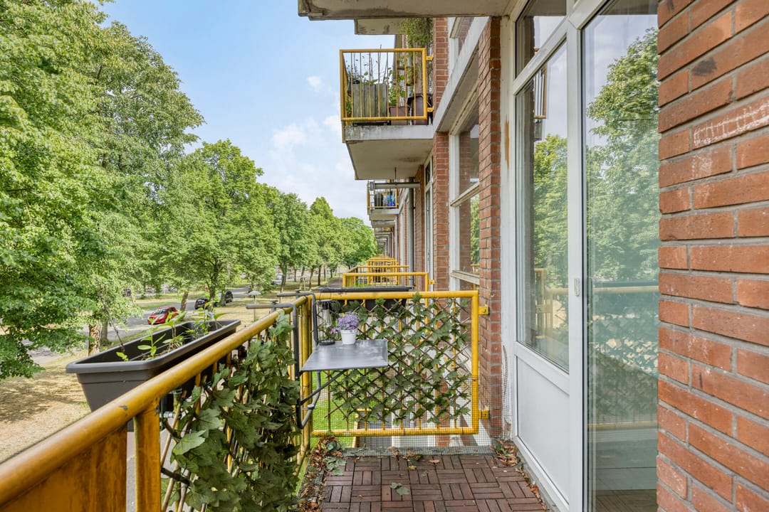 Foto 23 van Moezeldreef 217