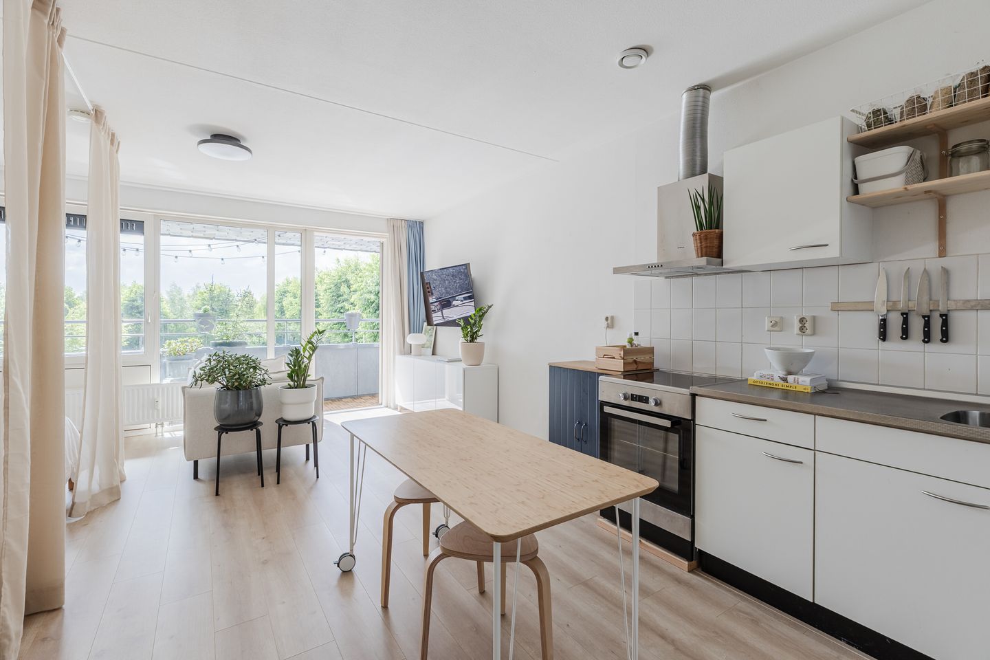 Photo 4 of Rottumeroog 100