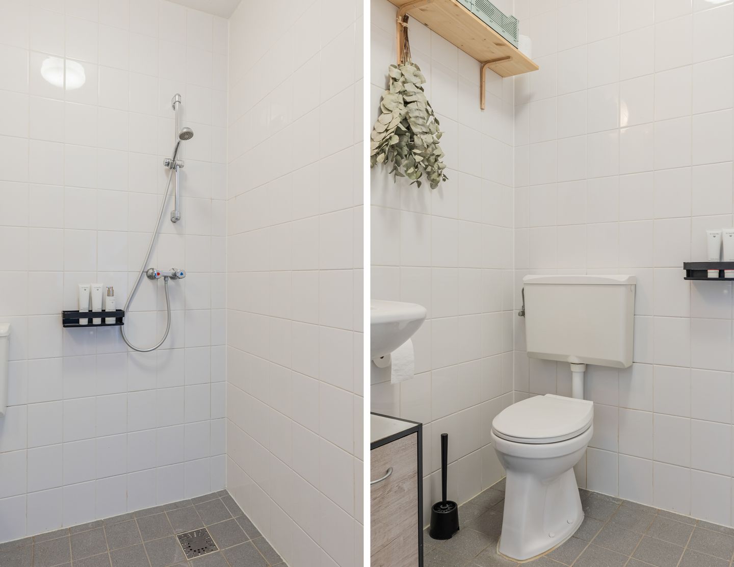 Photo 5 of Rottumeroog 100