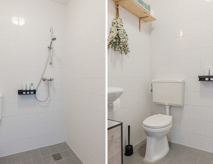 Photo 5 of Rottumeroog 100