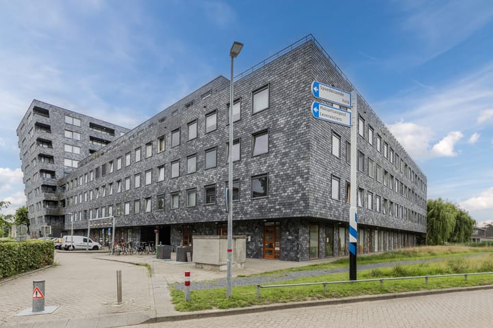 Photo 6 of Rottumeroog 100