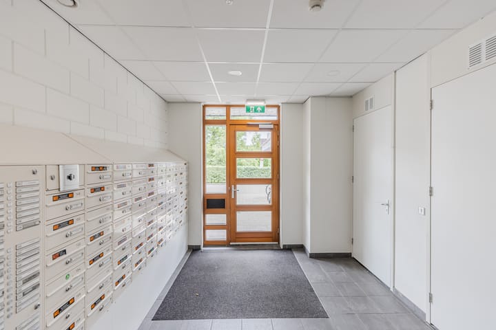 Photo 8 of Rottumeroog 100