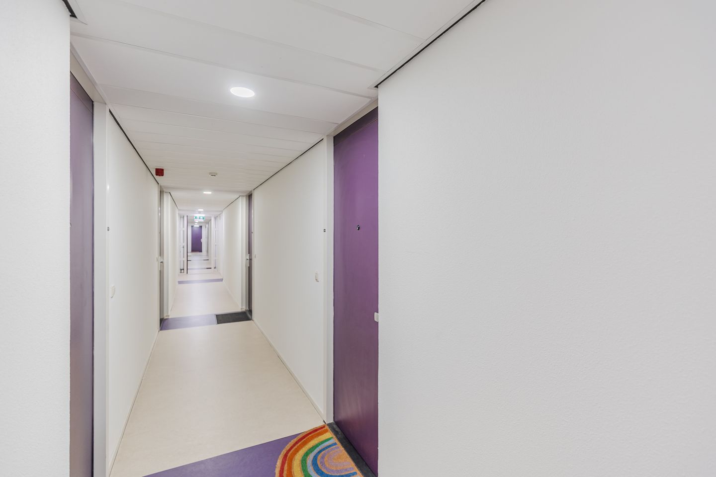 Photo 10 of Rottumeroog 100