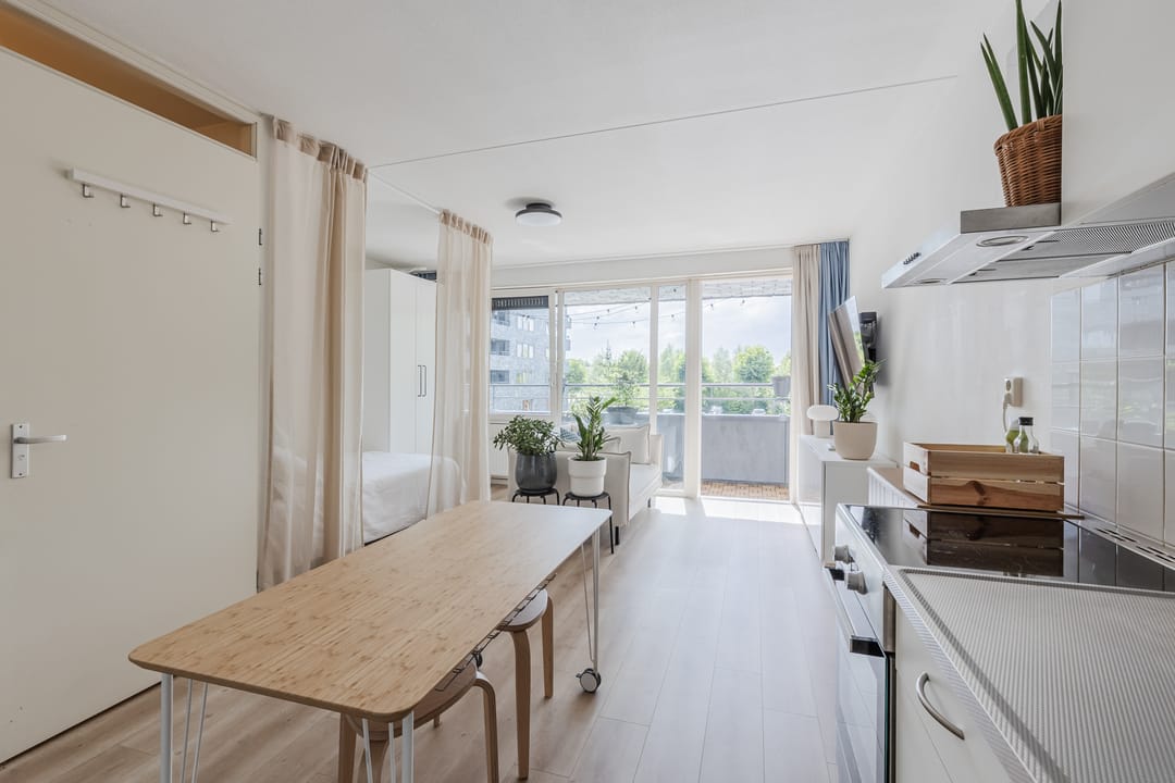 Photo 13 of Rottumeroog 100