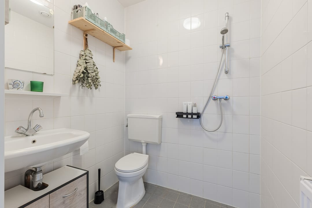 Photo 22 of Rottumeroog 100