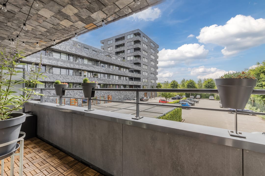 Photo 23 of Rottumeroog 100