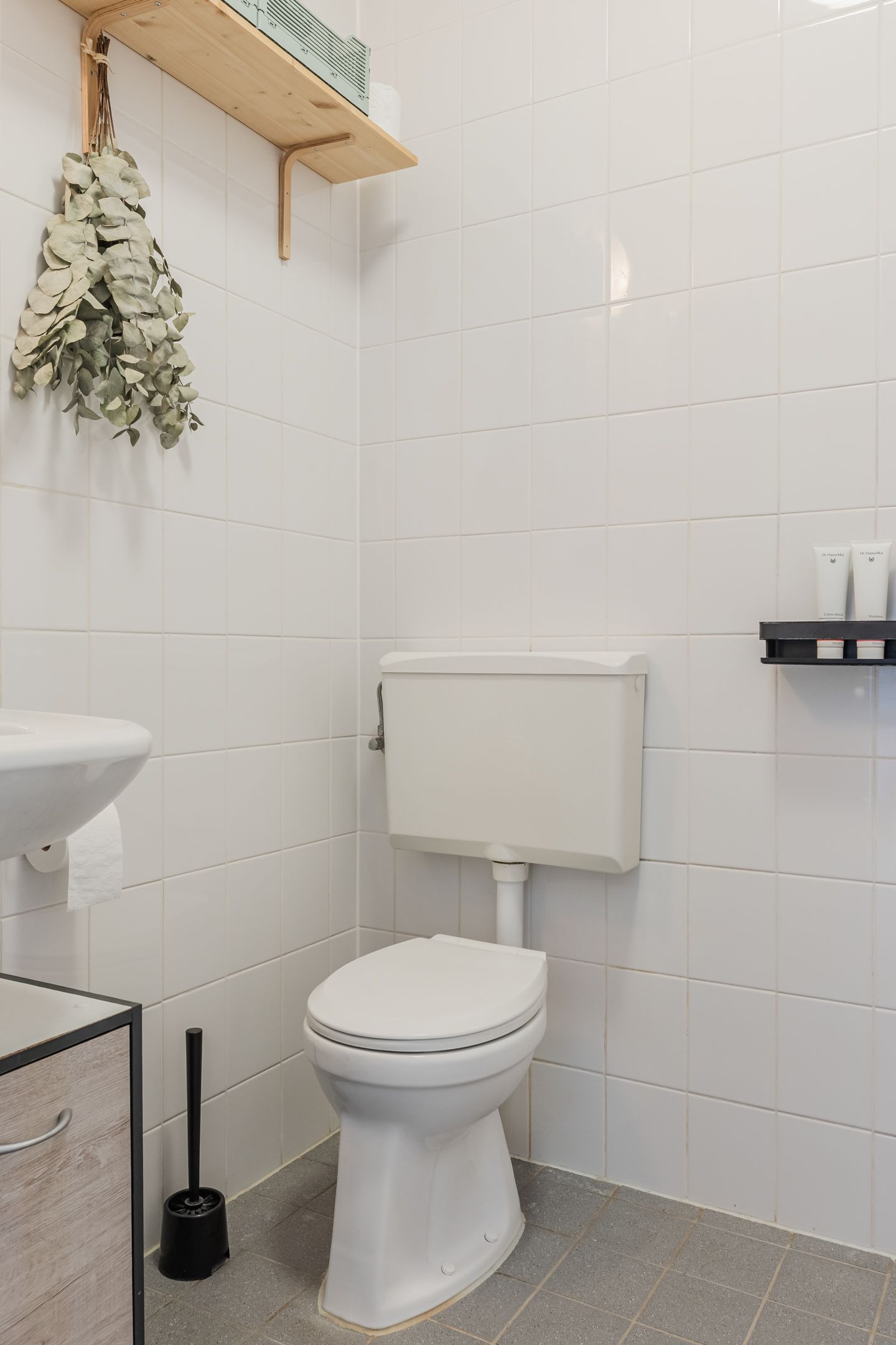 Photo 24 of Rottumeroog 100