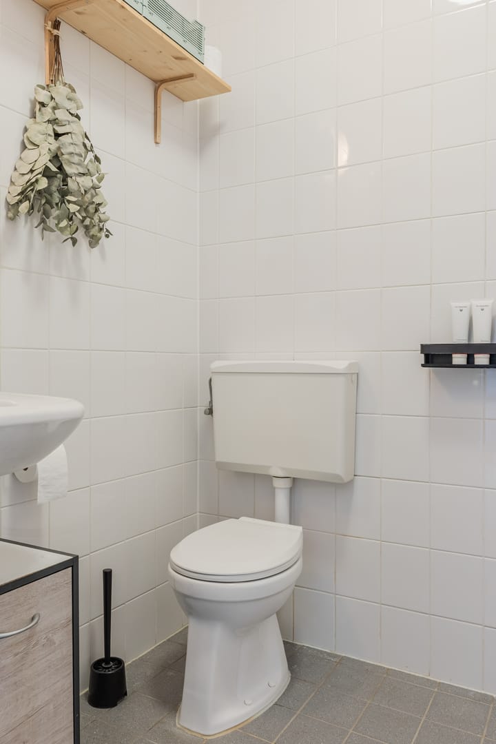 Photo 24 of Rottumeroog 100