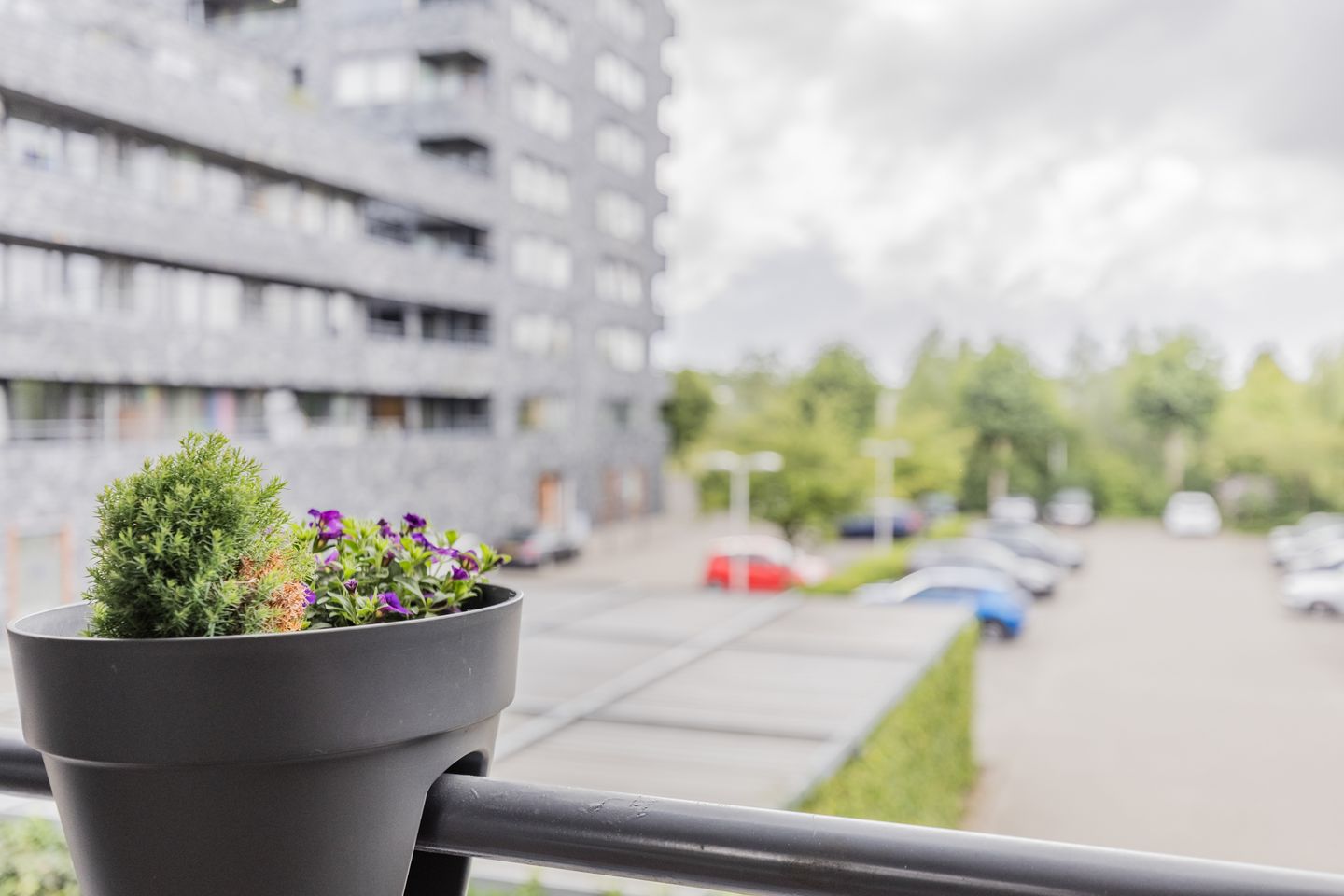 Photo 25 of Rottumeroog 100