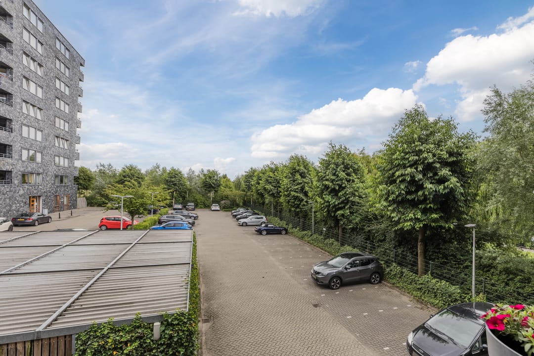 Photo 26 of Rottumeroog 100