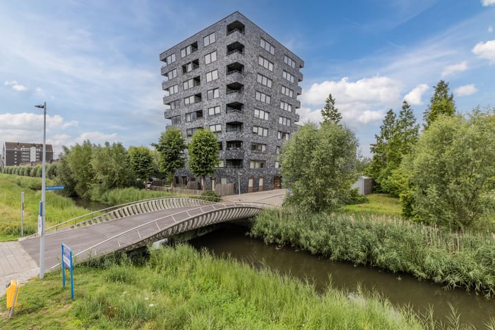 Photo 29 of Rottumeroog 100