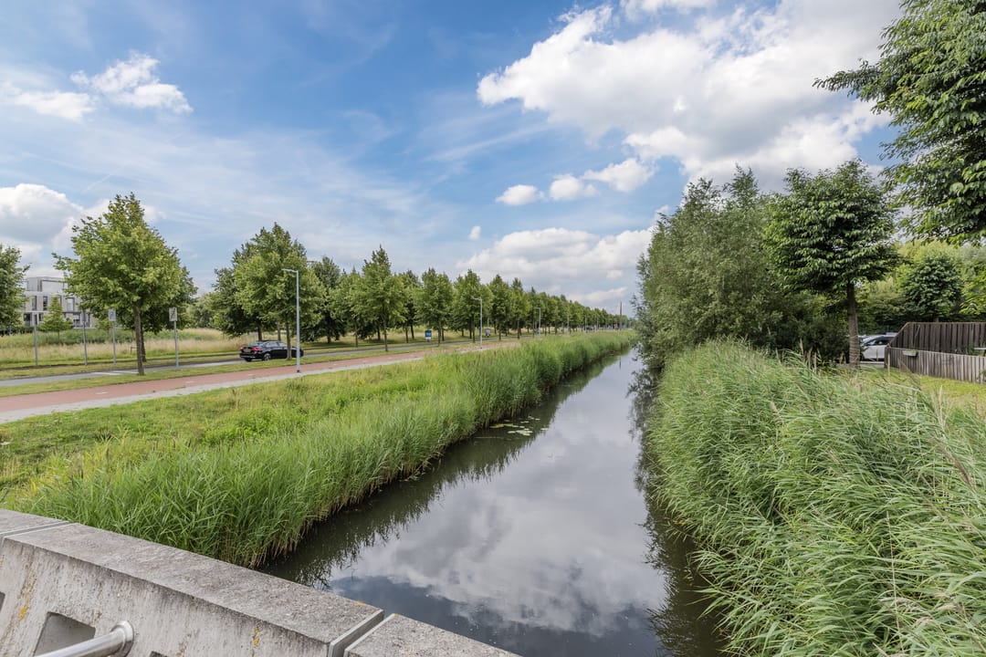 Photo 31 of Rottumeroog 100