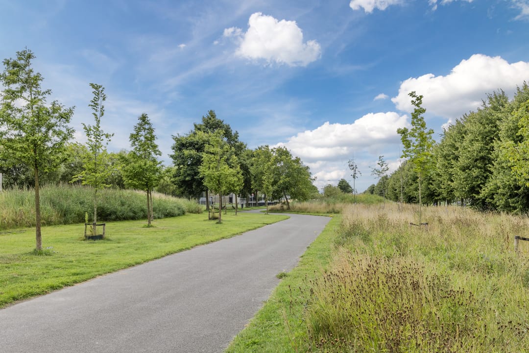 Photo 32 of Rottumeroog 100