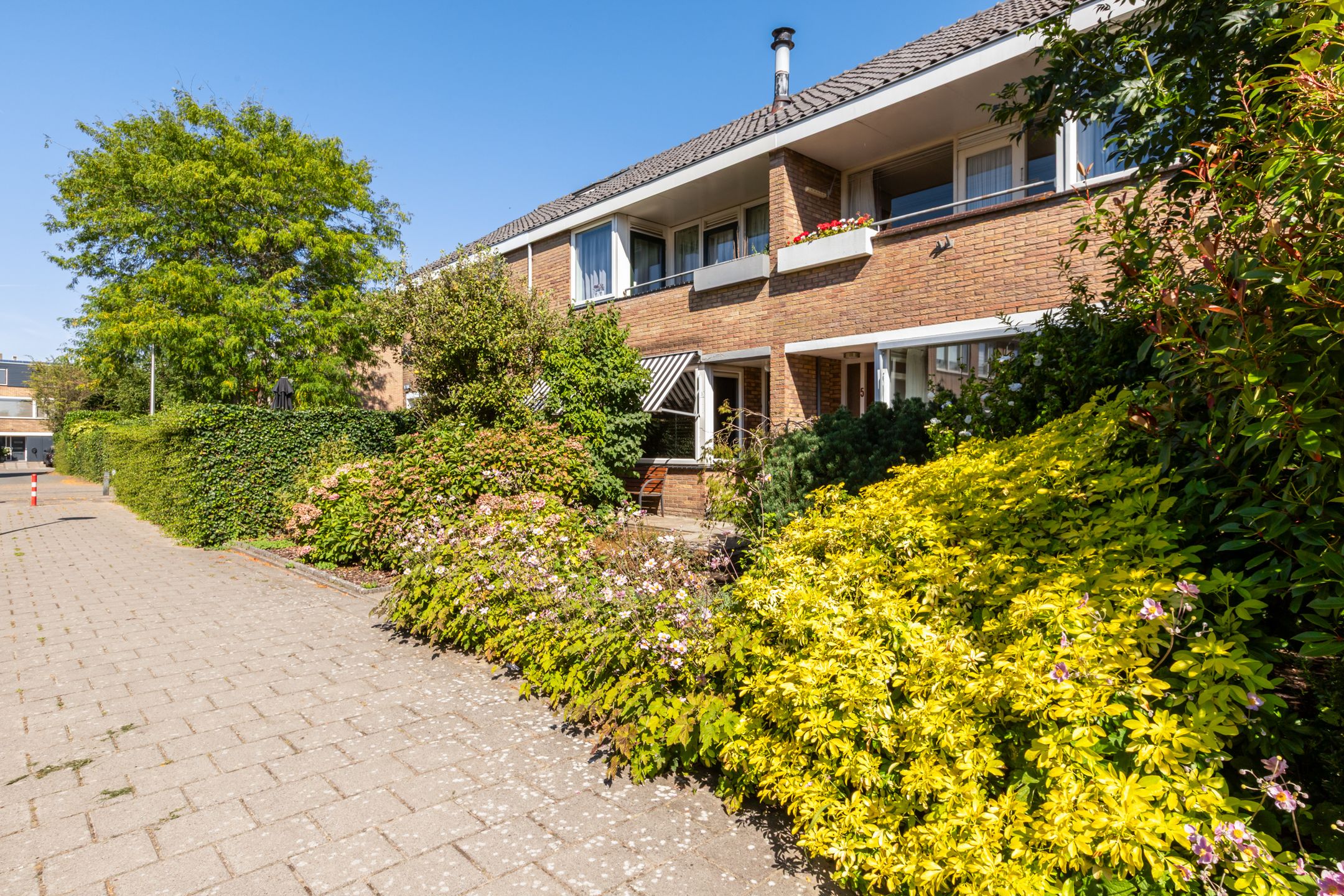 Foto 42 van Bloeme 5