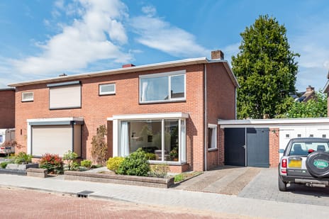 undefined main image