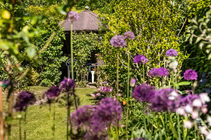 Foto 33 van De Zeilen 1