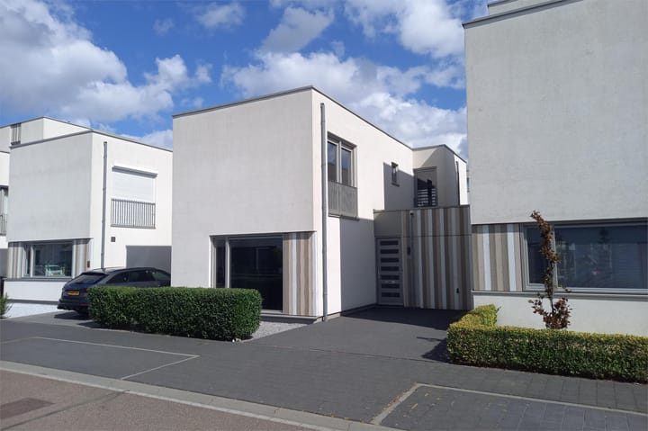 Photo 1 of Teunisbloem 29