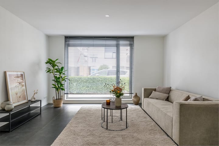 Photo 3 of Teunisbloem 29