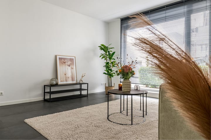 Photo 4 of Teunisbloem 29